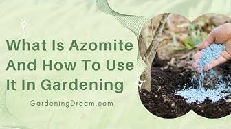 'Video thumbnail for What Is Azomite And How To Use It In Gardening'