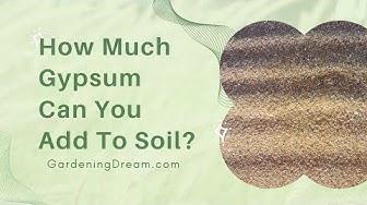 'Video thumbnail for How Much Gypsum Can You Add To Soil?'
