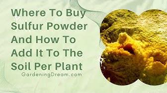 'Video thumbnail for Where To Buy Sulfur Powder And How To Add It To The Soil'