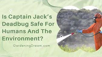 'Video thumbnail for Is Captain Jack’s Deadbug Safe For Humans And The Environment?'