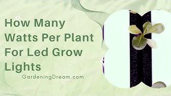 'Video thumbnail for How Many Watts Per Plant For Led Grow Lights'