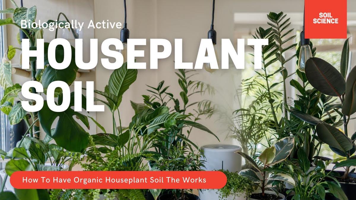 'Video thumbnail for Organic Potting Soil For Houseplants The Works. Why Sterile Potting Soil Is A Really BAD idea!'