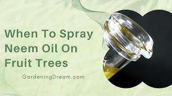 'Video thumbnail for Info Article When To Spray Neem Oil On Fruit Trees'