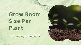 'Video thumbnail for Grow Room Size Per Plant'