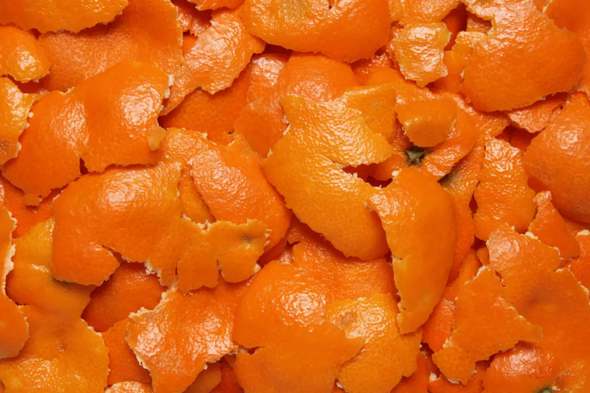 Can you Use Orange Peels in Compost