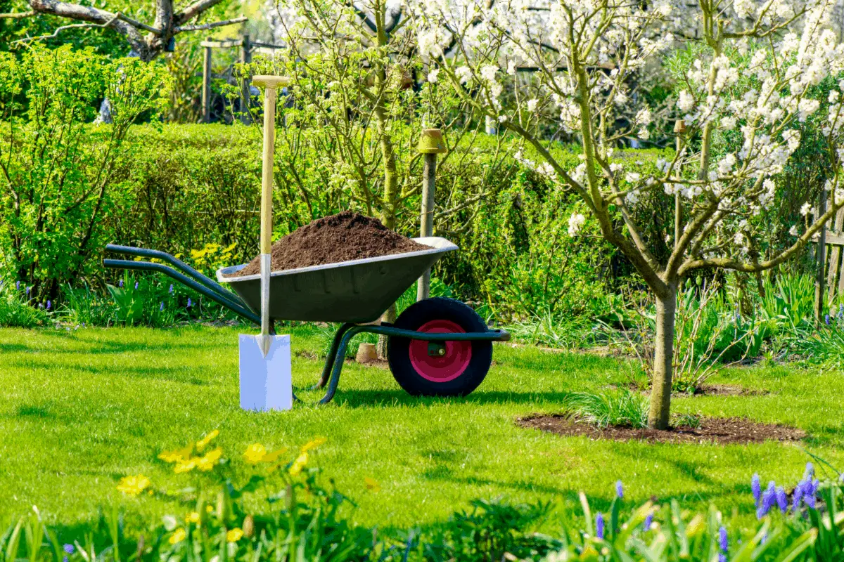 How Much Compost is Needed for a Lawn