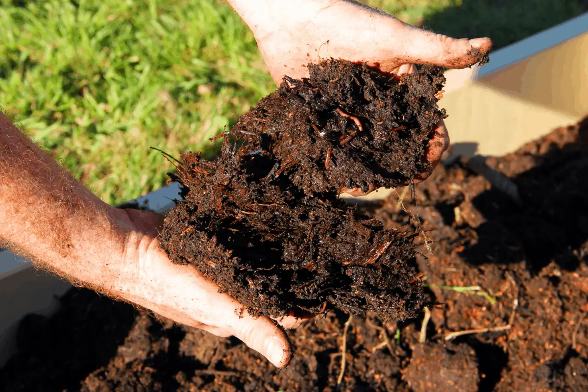 Worms in Compost: Are they a Friend or a Foe?