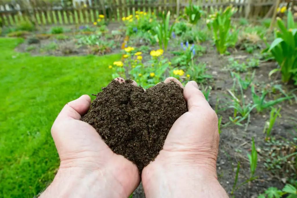 How To Add Compost To Existing Plant Grower Today
