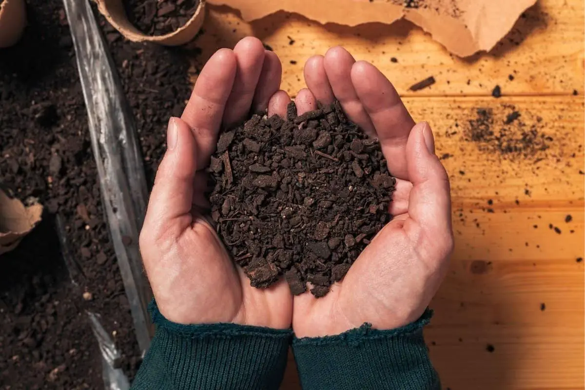Top Soil Vs Compost- What’s The Difference & What's Best To Use