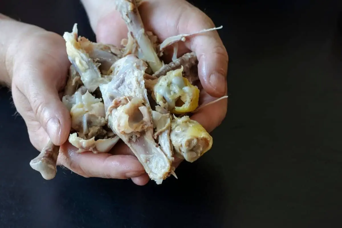Can you Compost Chicken bones and Turn them into manure
