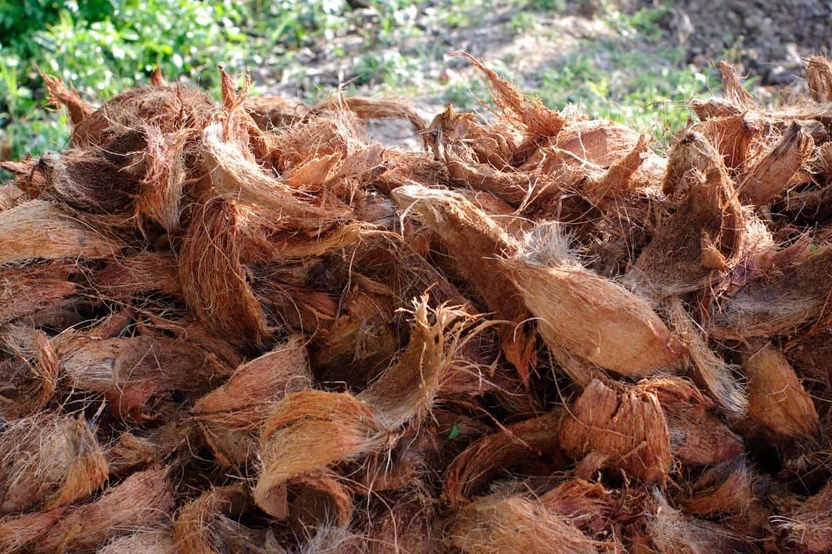 What is Coconut Coir Plus Its’ Recommended Products