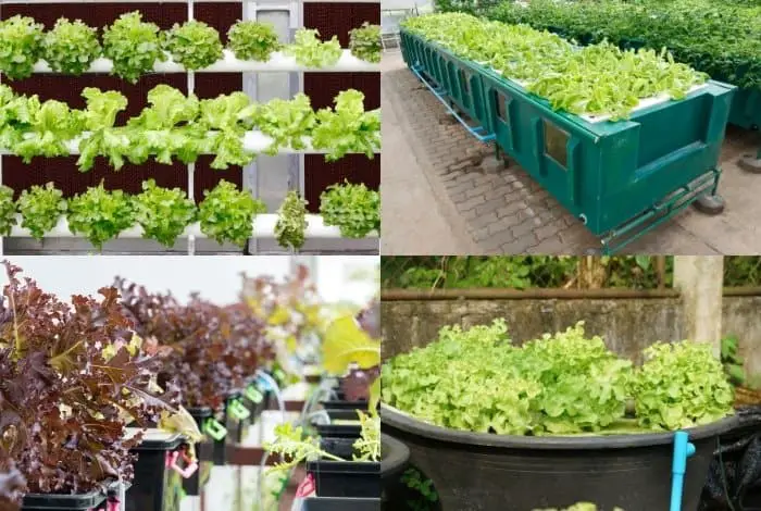 Types Of Hydroponics Systems
