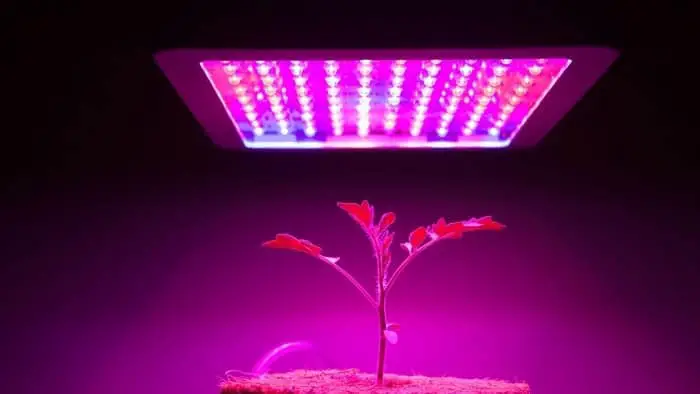 led grow lights lumens
