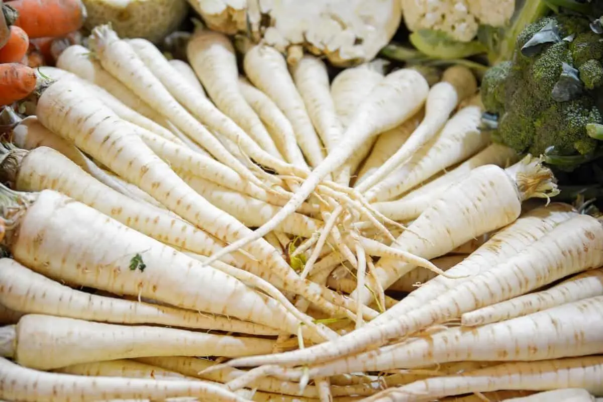 What Are White Carrots Called?