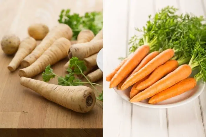 White Carrots & Parsnip: Differences