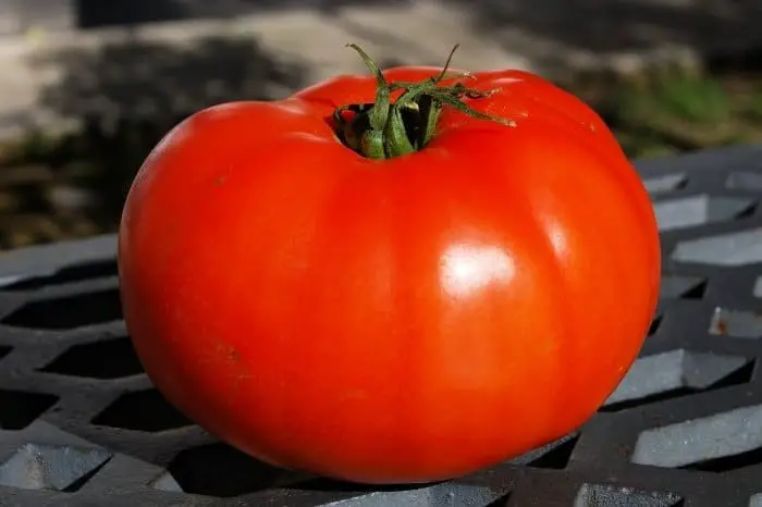 About Beefsteak Tomato Plant