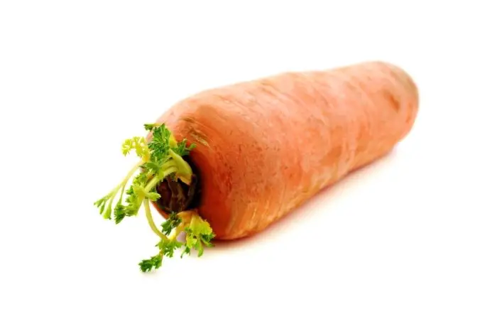 Are Sprouted Carrots Safe To Eat