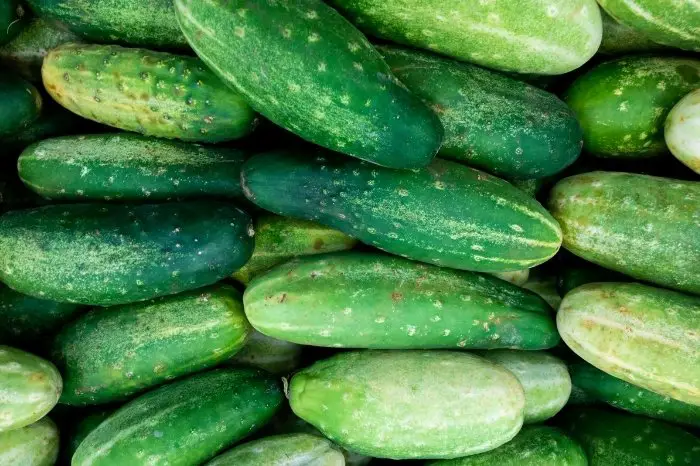 Choosing English Cucumber Based On Appearance And Texture