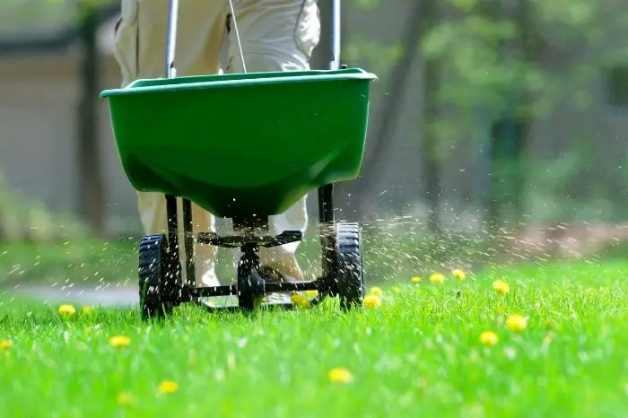 Choosing The Best Potassium For Your Lawn