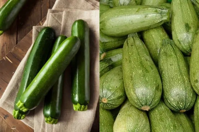 Is Green Squash And Zucchini The Same - Are There Any Differences