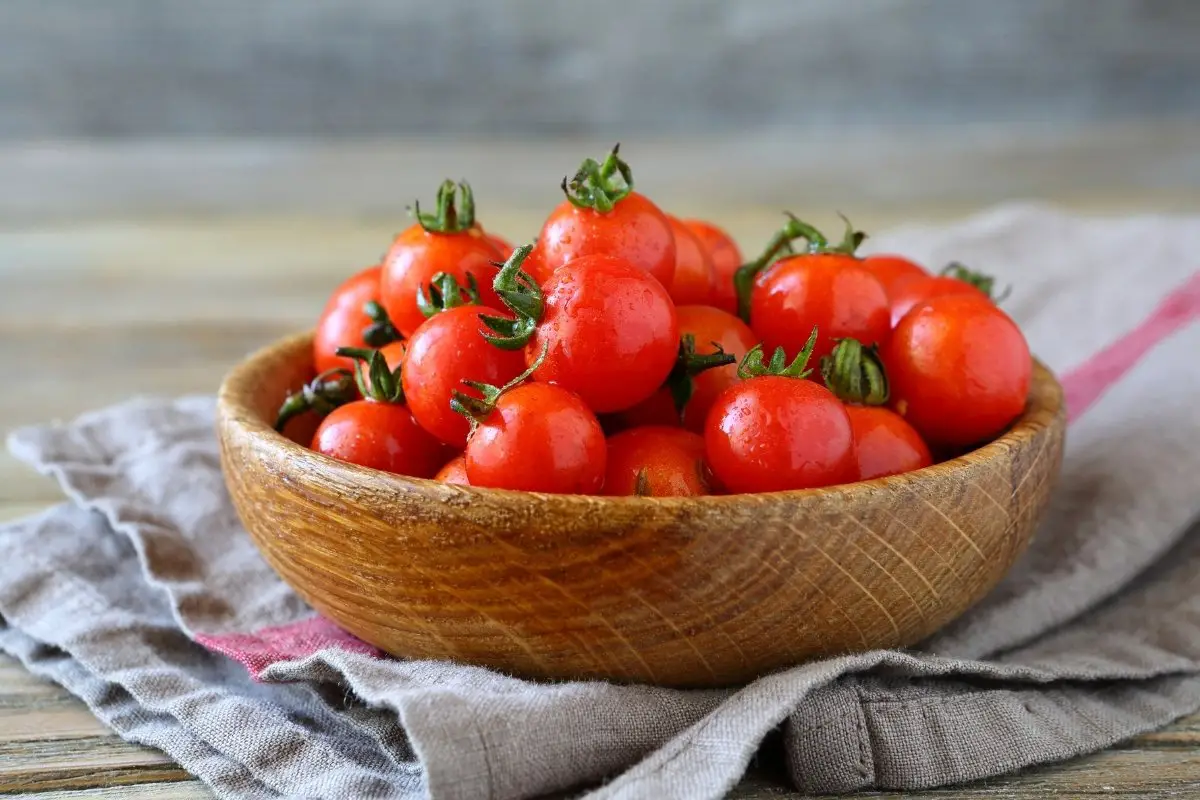 Sweet 100 Tomato Determinate Or Indeterminate