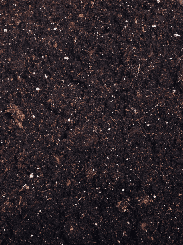 Roots Organic Soil 707: Benefits and How to Use