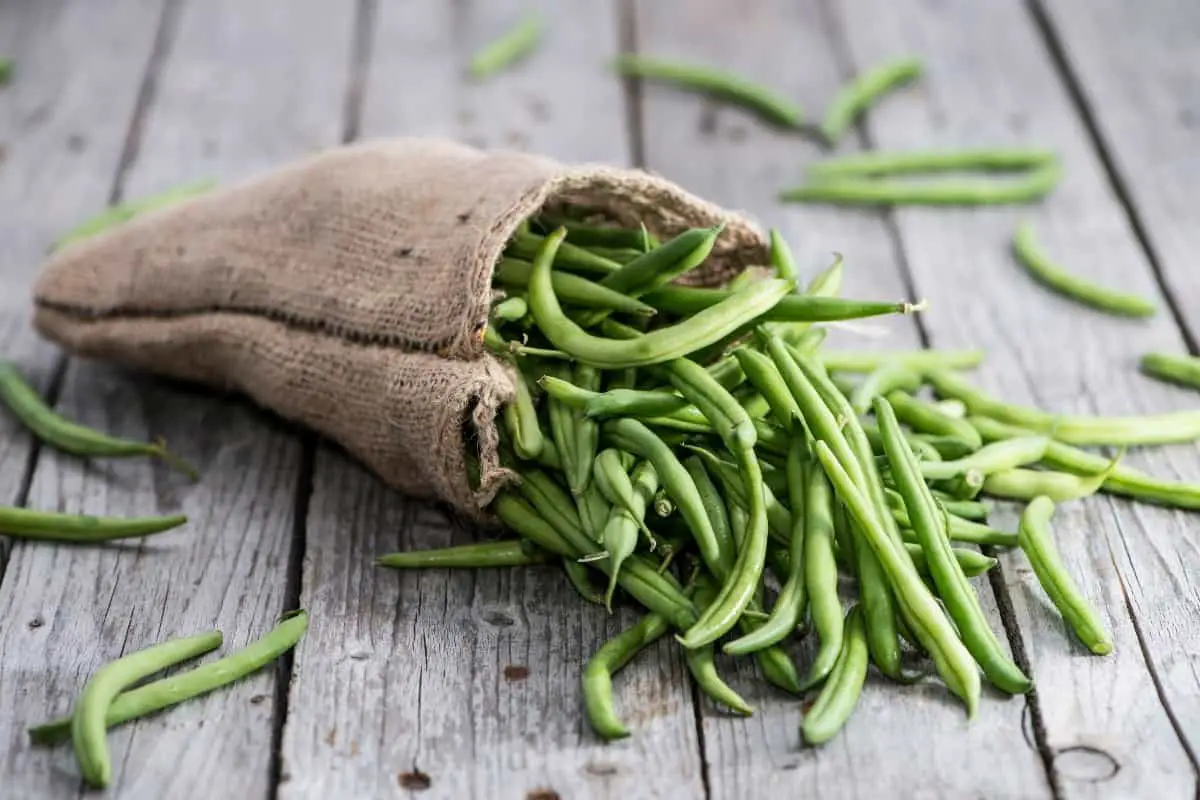 Where Did Green Beans Originate