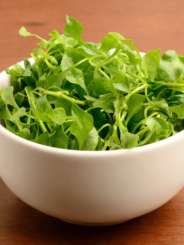How To Grow Watercress In Aquaponics