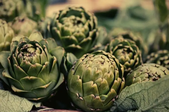 A Little About Artichoke And Their Origin