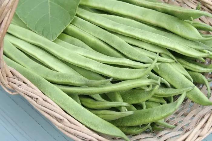 Cooking Pole Beans From The Garden