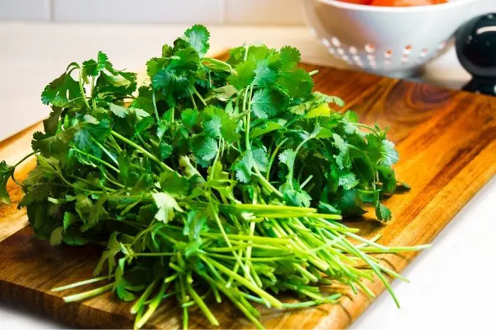 Knowing How Long Is Cilantro Good For