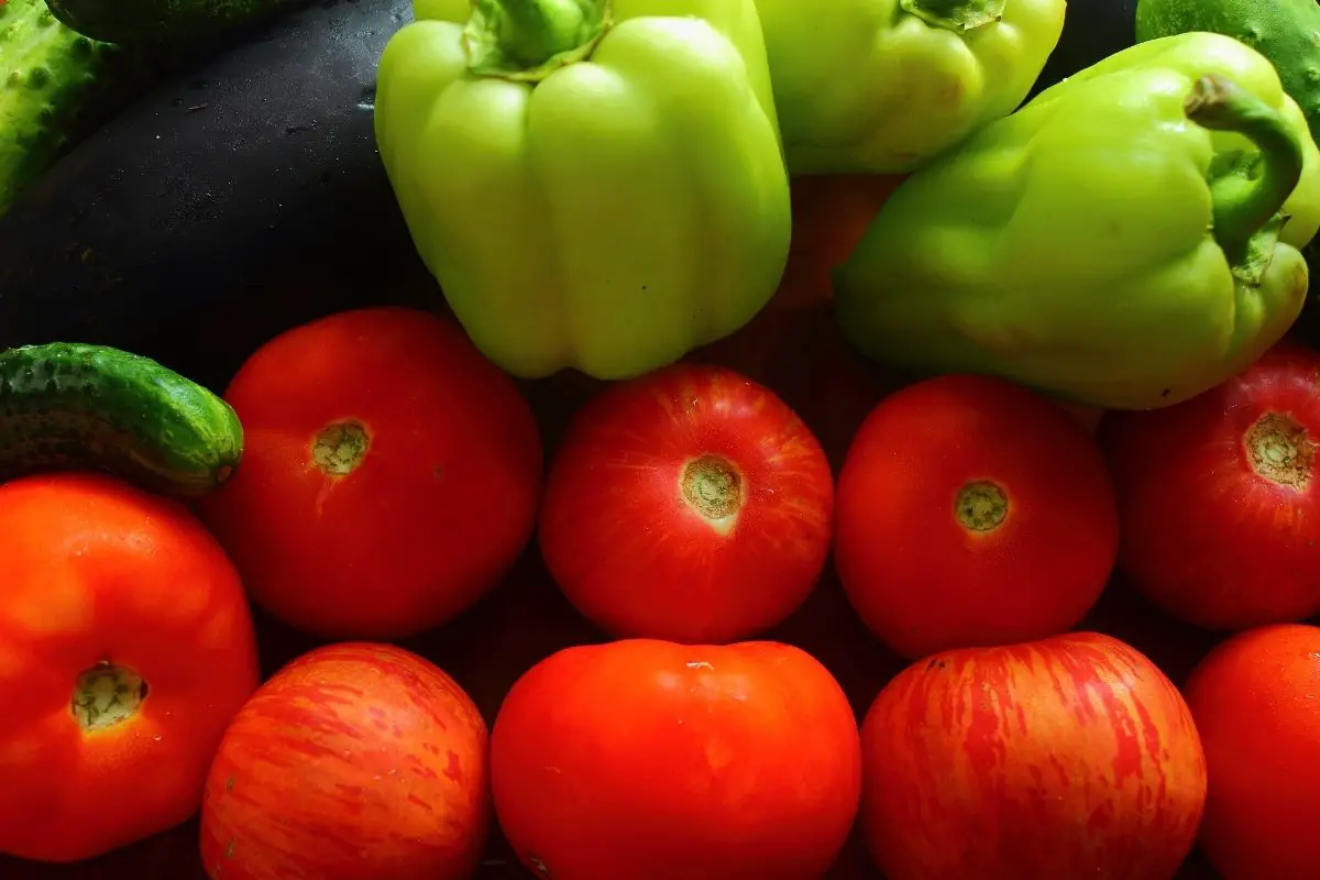 The Lowest Temperature For Tomatoes and Peppers
