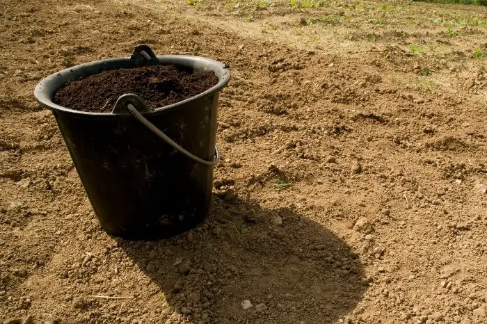 How Much Soil Do I Need For A 5-Gallon Bucket