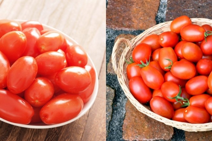 Roma vs Plum Tomato