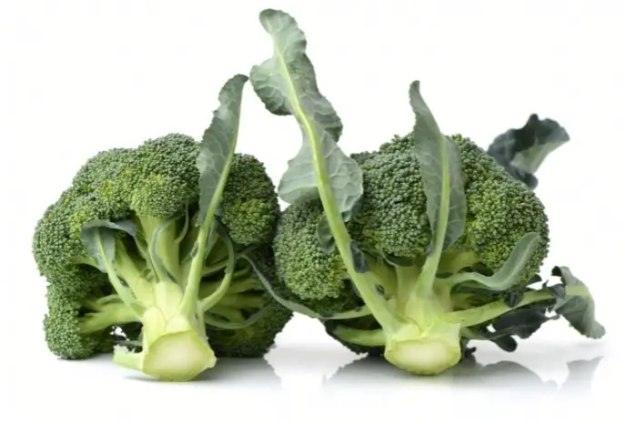 Broccoli Vegetable
