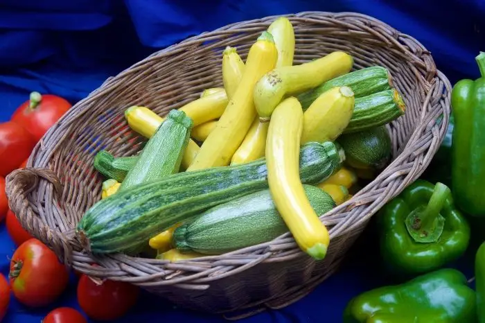 Can You Swap Zucchini For Summer Squash