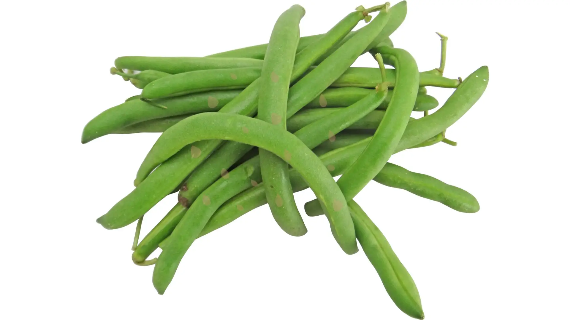 green beans are slimy