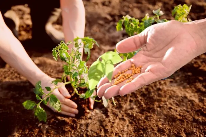 How To Increase The Soil pH Levels