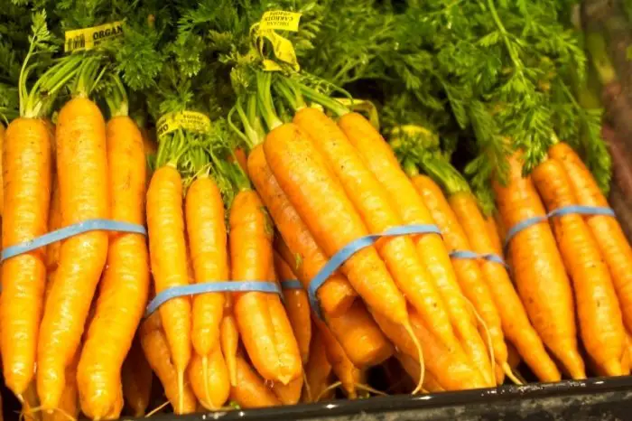 Nutritional Benefits Of Consuming Carrots