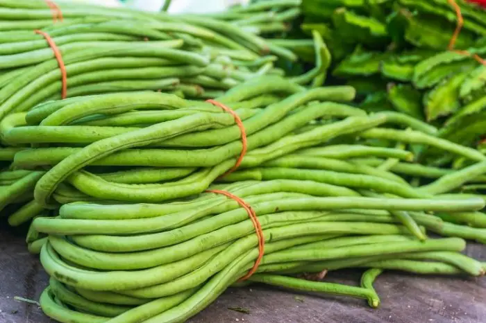 Really Long Green Beans - What Are They
