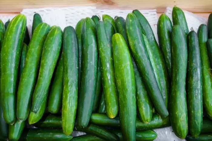 What Are Burpless Cucumbers