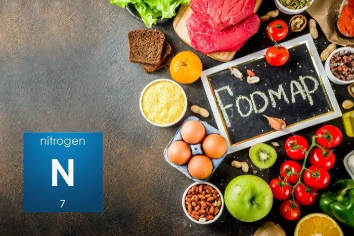 What Foods Are Rich In Nitrogen