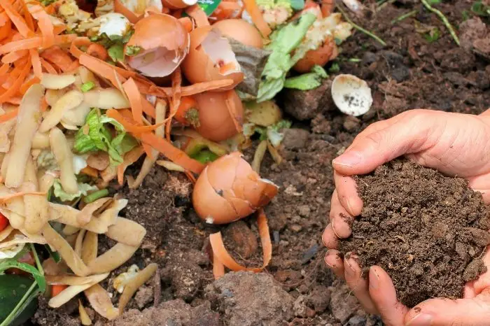 What Should You Use Green Or Brown Compost For