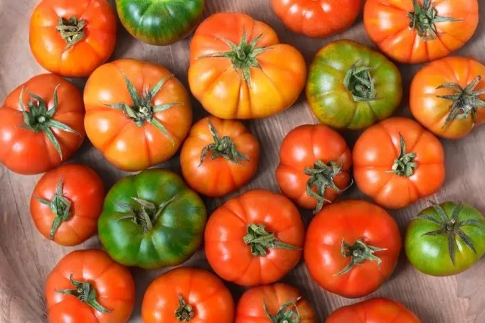 Ox Heart Tomatoes: Some Info About Them  And Their Characteristics
