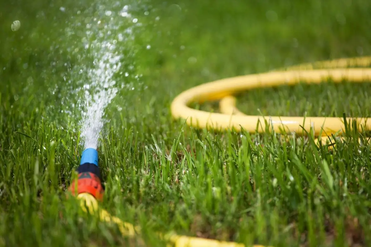 All You Need To Know About Garden Hose Size