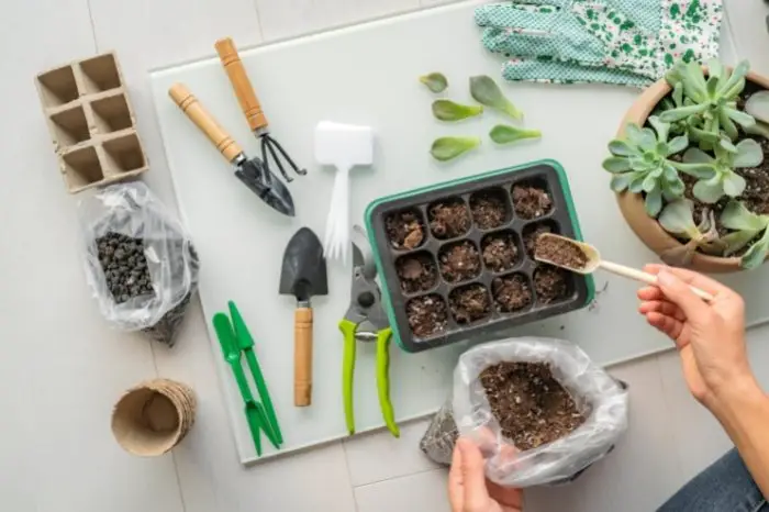 How To Grow Seeds Indoors