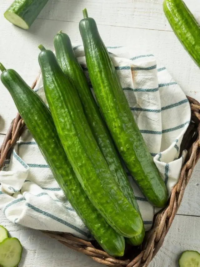 A Quick Guide In What An English Cucumber Is