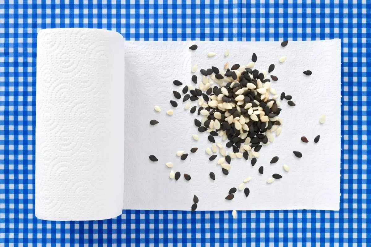 A Detailed Guide On How To Germinate Seeds With Paper Towels
