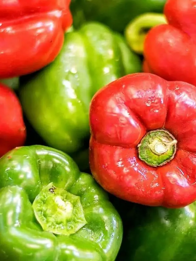 Plant Your Own Peppers- Spacing And Growing Tips