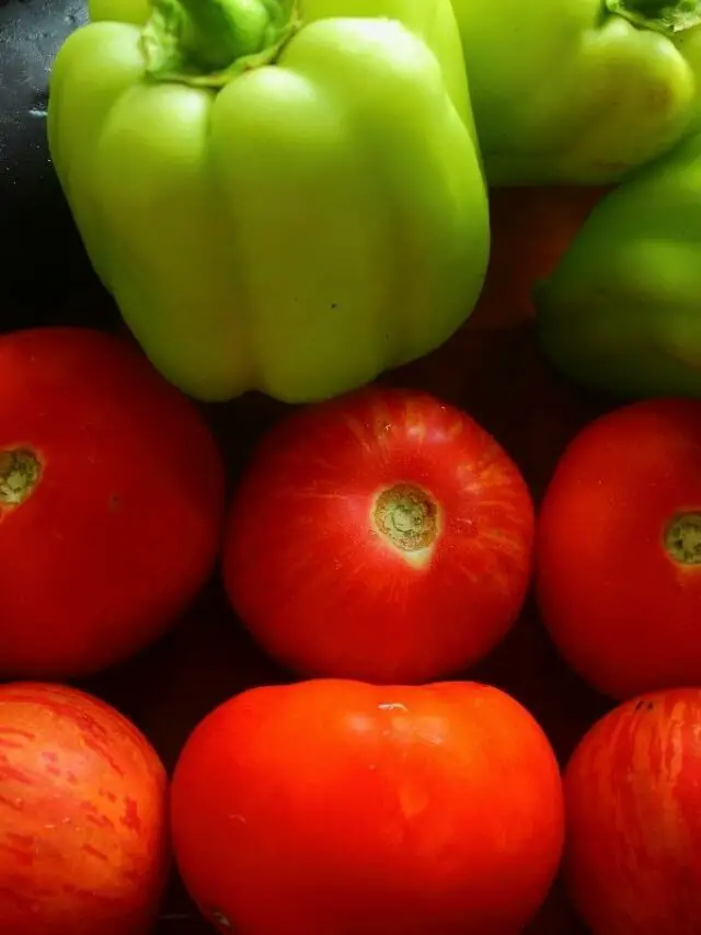 Tomatoes Effects Of Low Temperature And Protection Advice